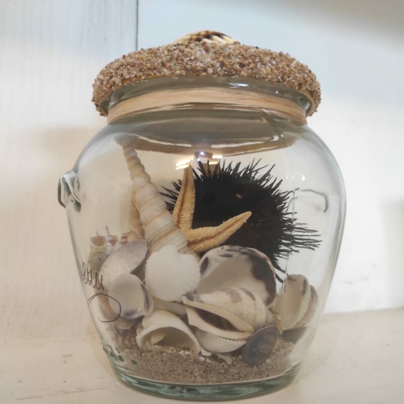 Vasetto vetro decorativo conchiglie e riccio