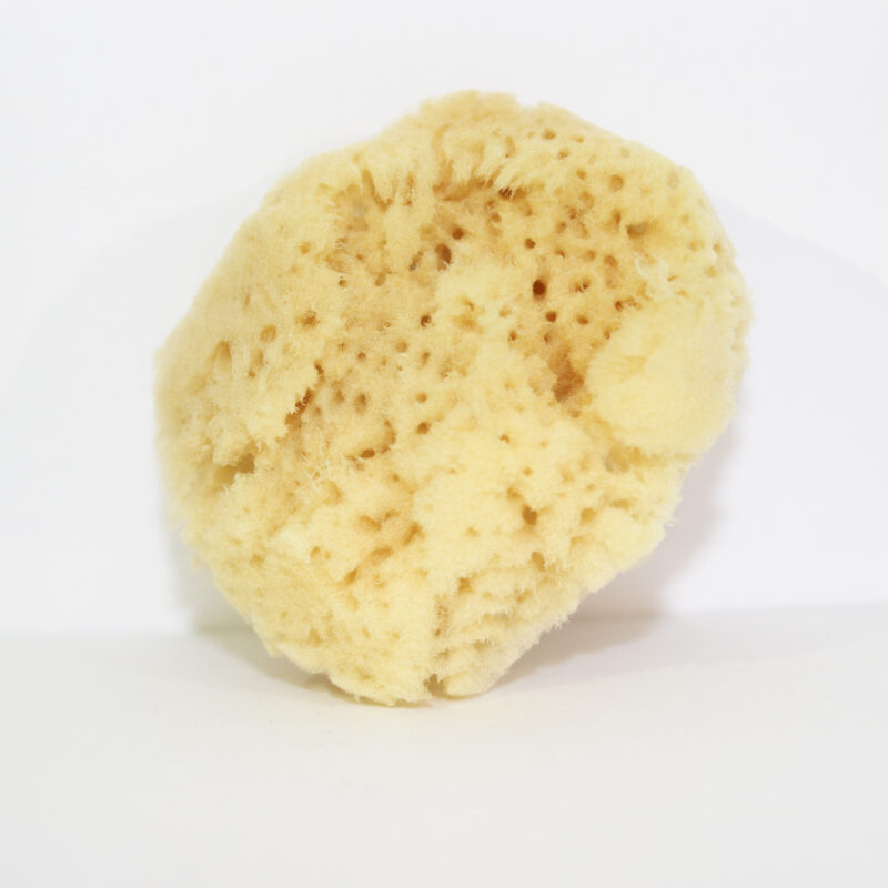 Spugna naturale di mare Zimoca sbiancata diametro 6 cm